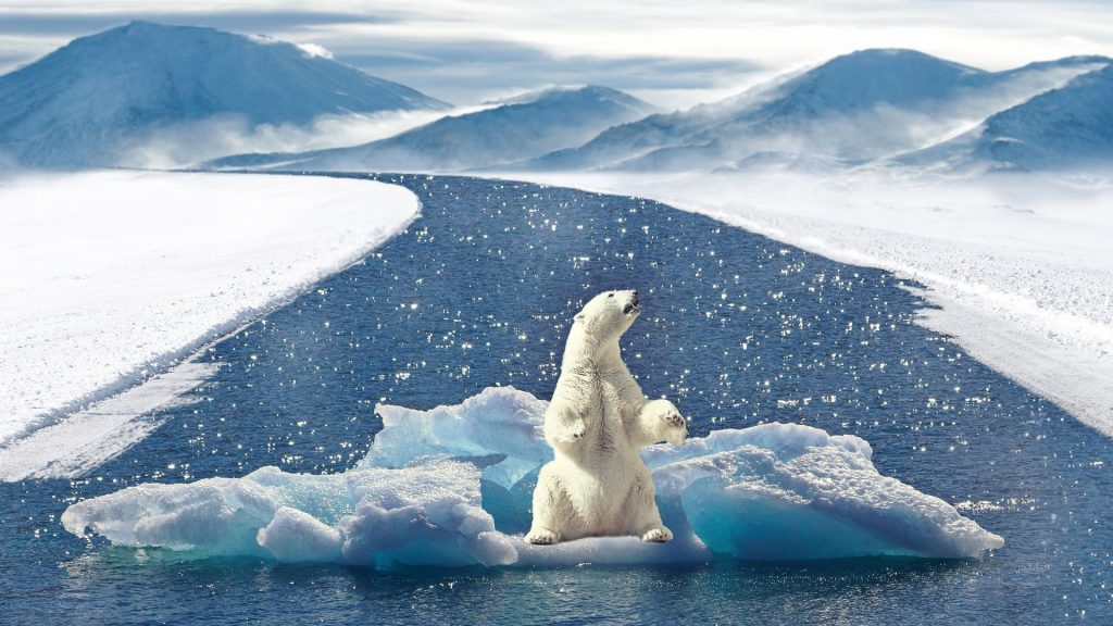 ¿Qué es el cambio climático y cómo nos afecta?